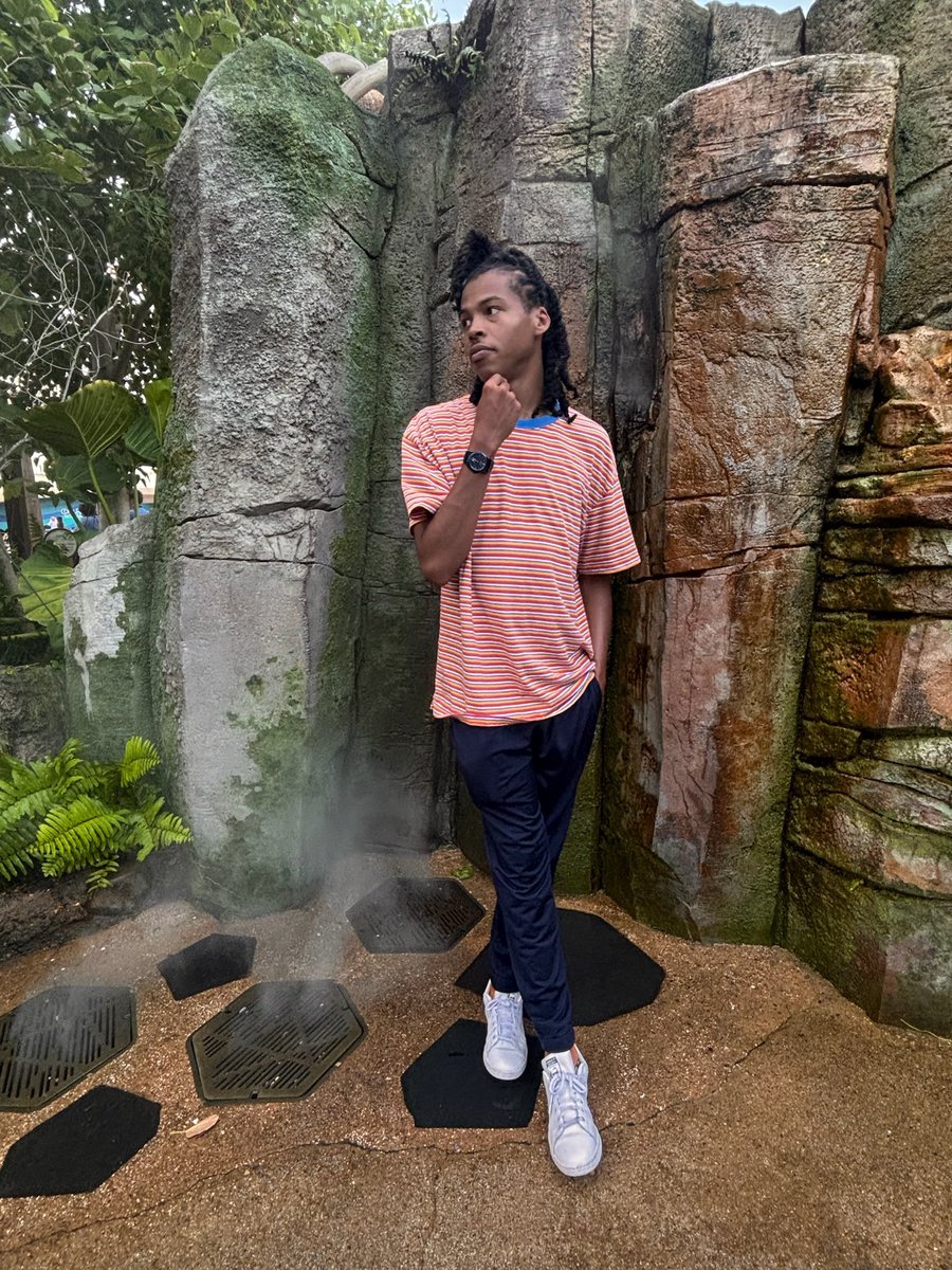 DADDY DINGO 🐂 tweet media