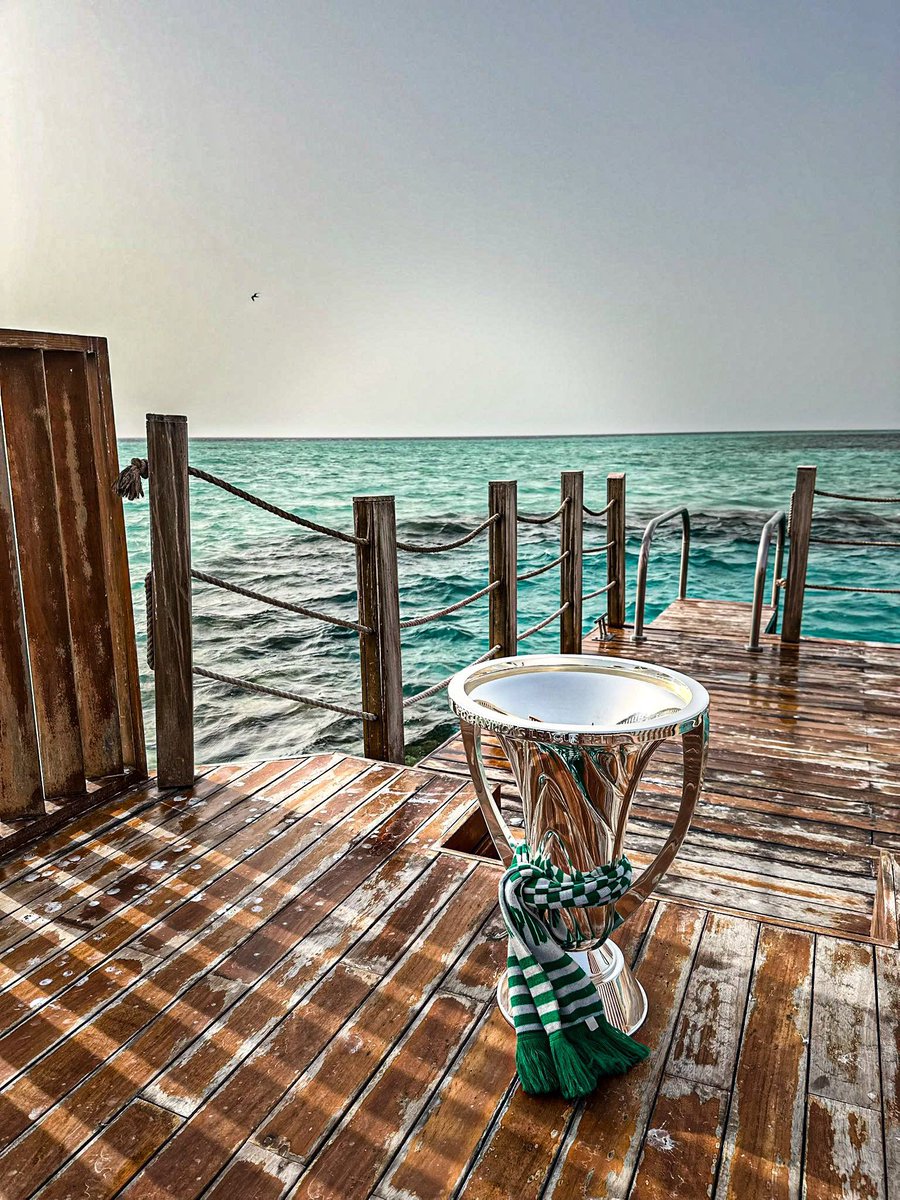 معقل الملوك tweet media