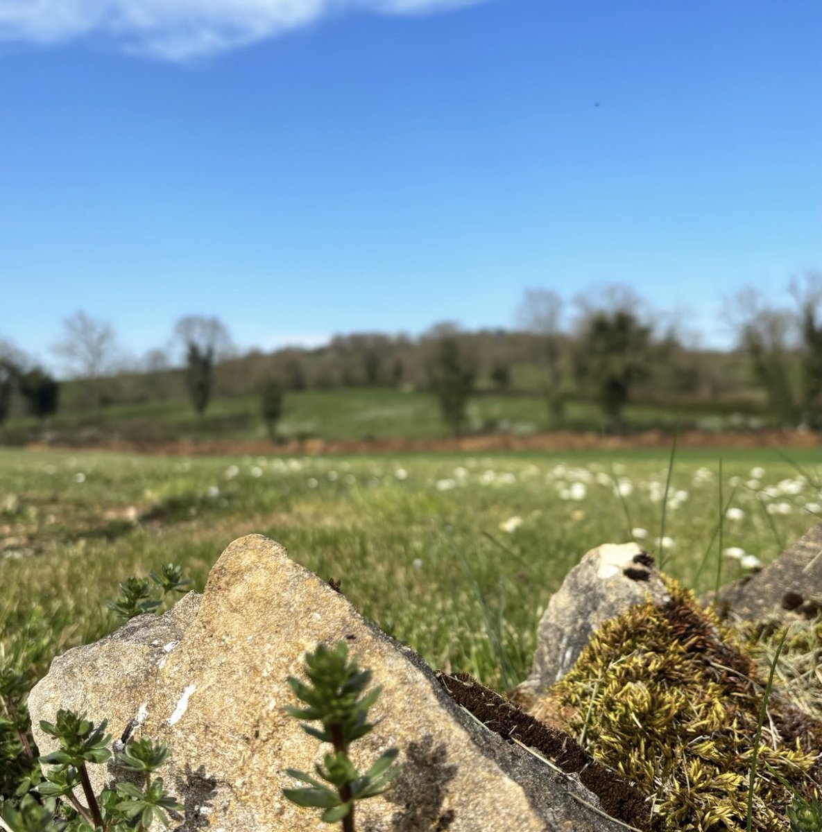 𝚂𝚘𝚘𝚔𝚒𝚎 𝚑𝚊𝚝𝚎𝚜 𝚢𝚘𝚞 🌸 tweet media