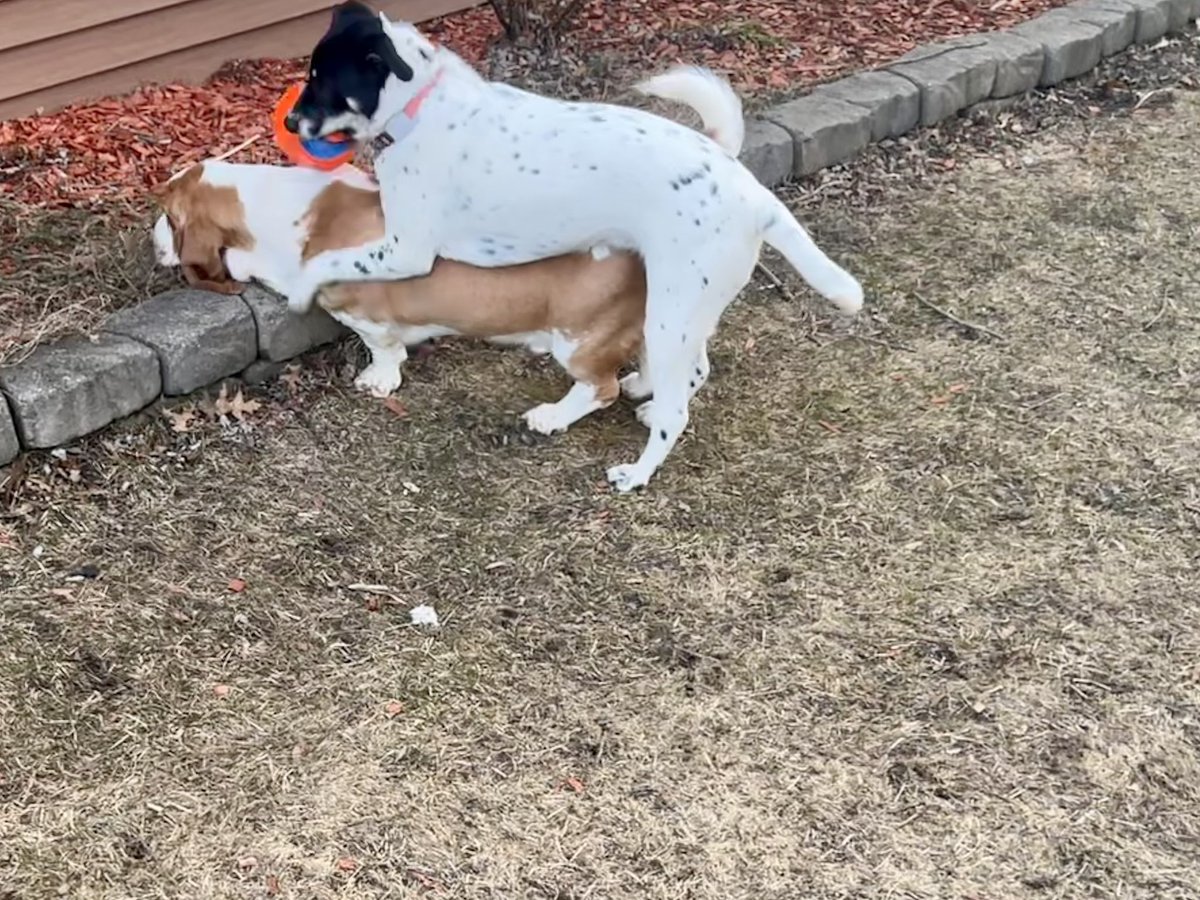 Sgt. Tater Ret. tweet media