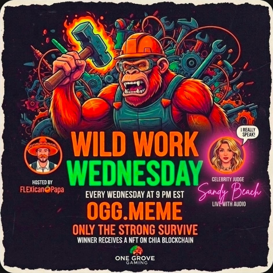 FLEX🍊ican Papa tweet media