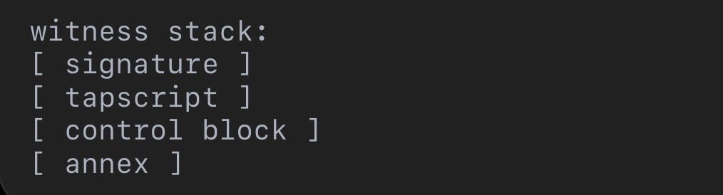 Aye 👩🏻💻 ⚡️ tweet media