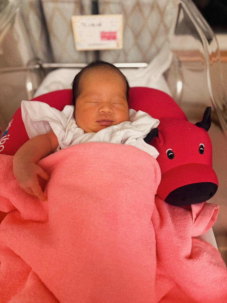 KOHARU #CHARAN-PO-RANTAN tweet media