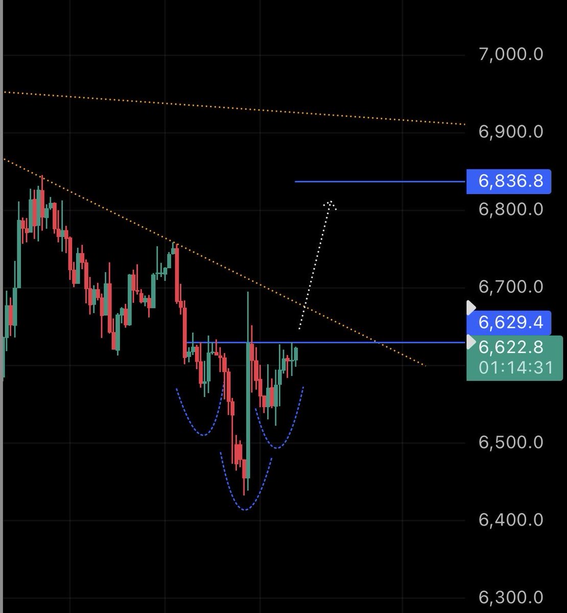 اصيل MBS tweet media