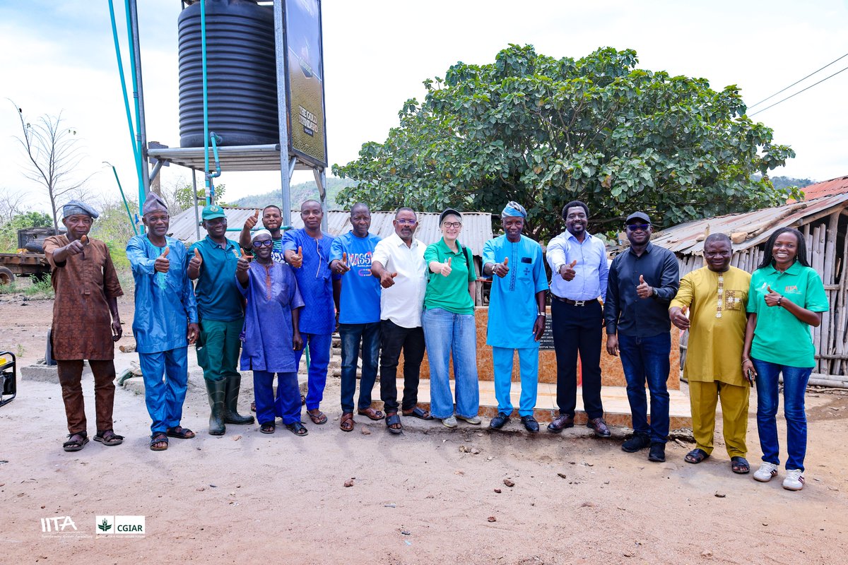 IITA Forest Center tweet media