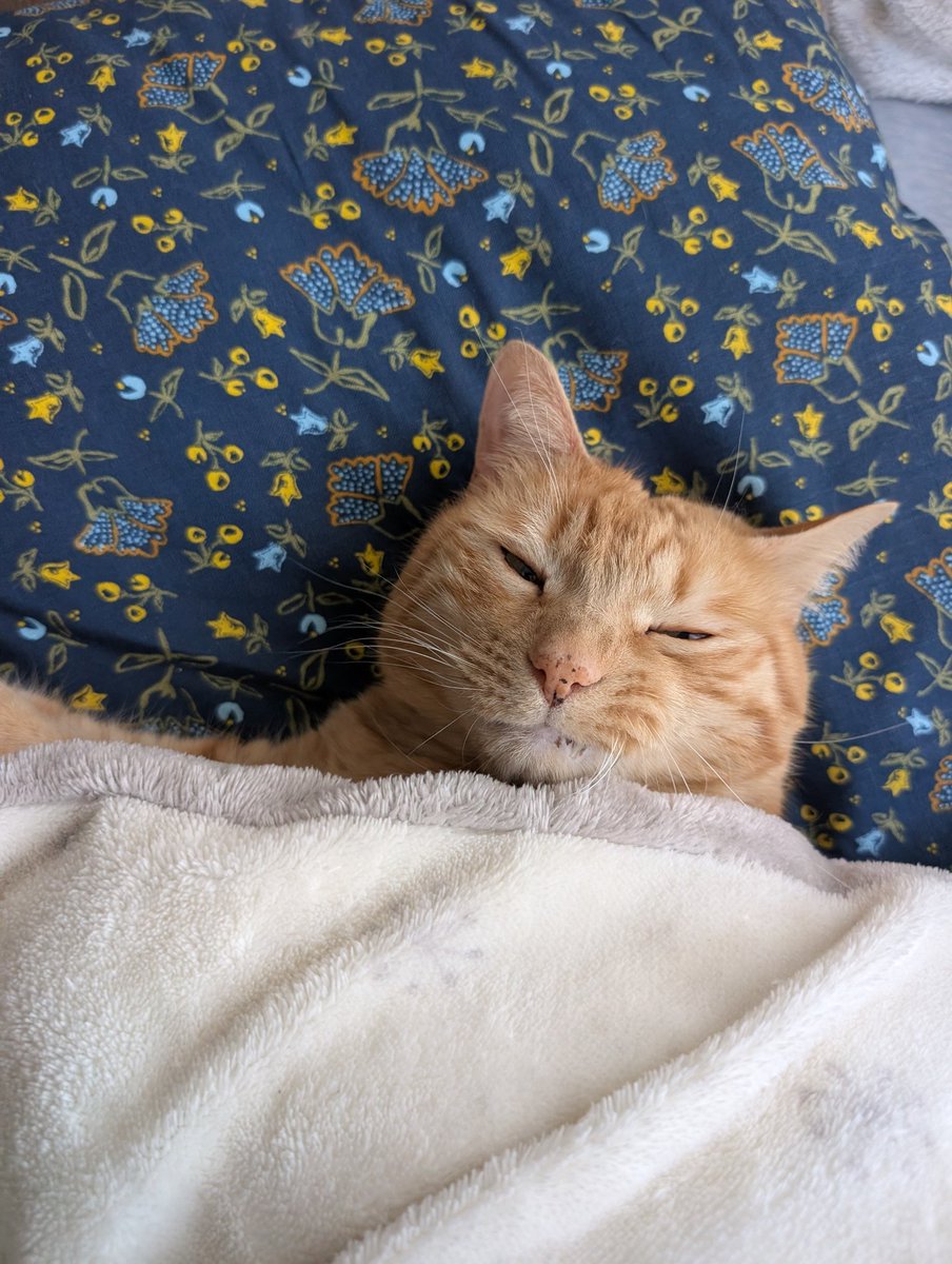 A N T I C // xoaa. tweet media