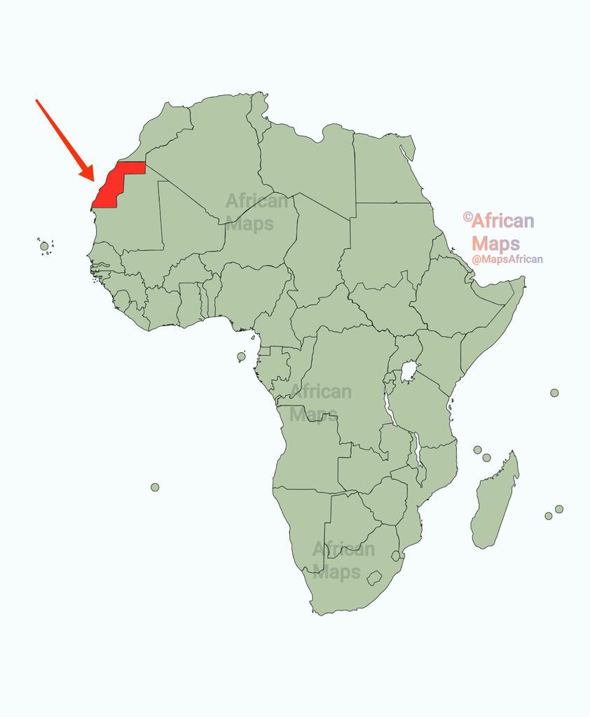 Zoom Afrika tweet media