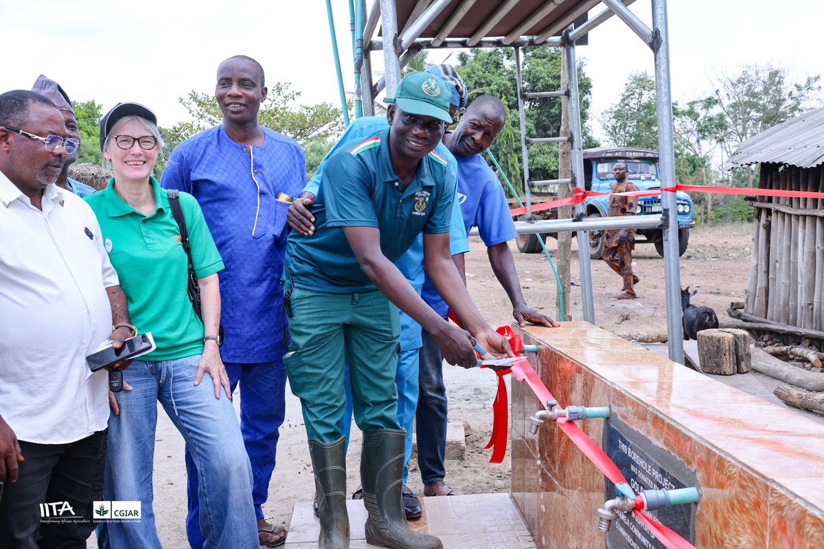 IITA Forest Center tweet media