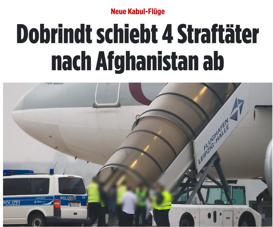 Christine Anderson tweet media