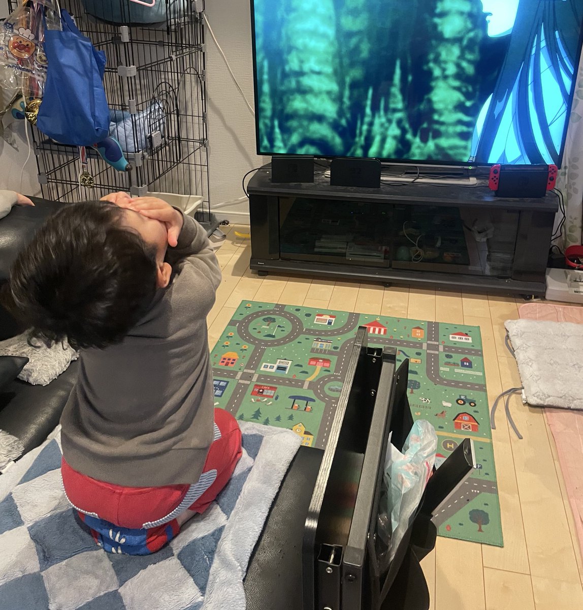 大好きなアニメでずっと離れ離れだった
親子の再会シーンを見て
『うぅ〜いっぱいご飯作ってもらいなね』と
感極まって涙している三歳児