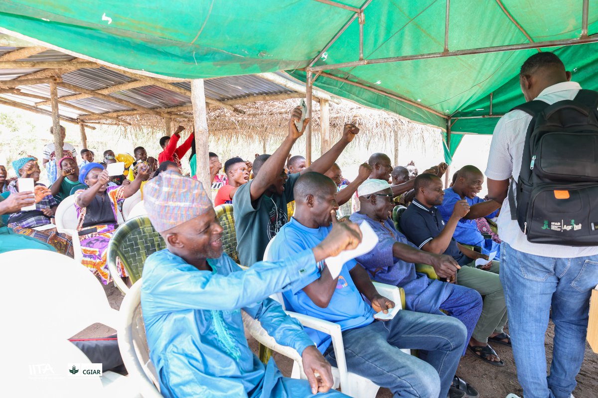 IITA Forest Center tweet media