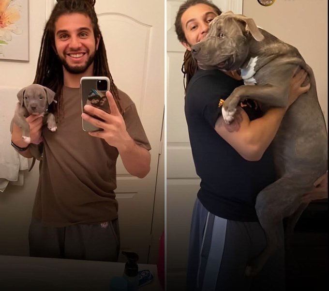 GPSTAR🔥 tweet media