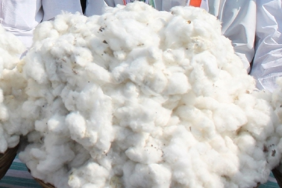 InvGurInd's tweet image. India Cotton Output Revised Higher Amid Rising Consumption Trends by Amit Gupta, @kediaadvisory 

investmentguruindia.com/newsdetail/ind…

#CommodityTips #Cotton @amit_gupta444  @kediaadvisory  #Investmentguruindia