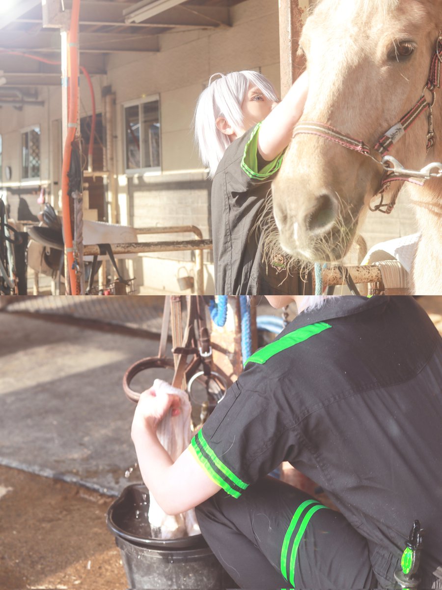 ほうじちゃ tweet media