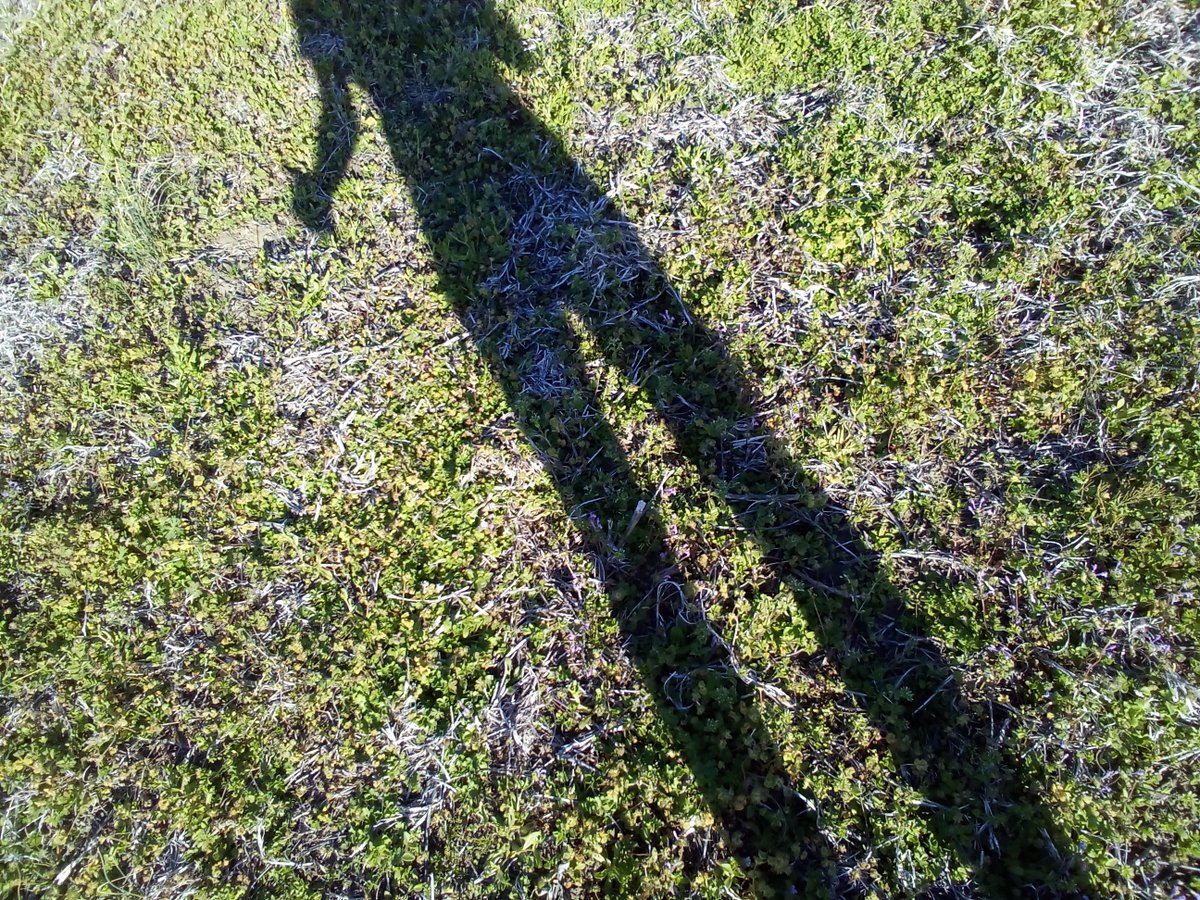 Cackalacka von Clank tweet media