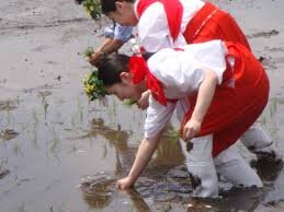 ほﾟん＠香川うどん県🍜引っ越しました🙇‍♂️６４天安門🔥台湾独立🇹🇼 tweet media