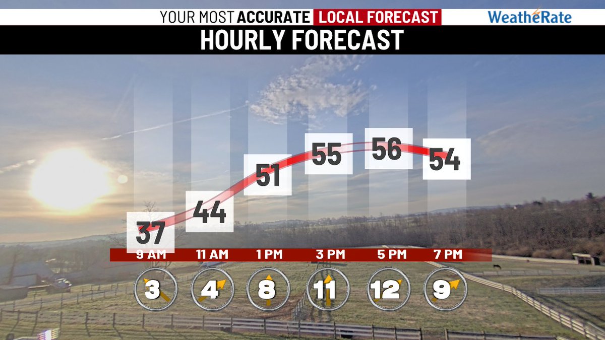Summer Trolli tweet media