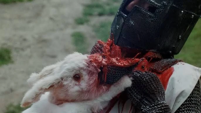 MFA Russia 🇷🇺 tweet media