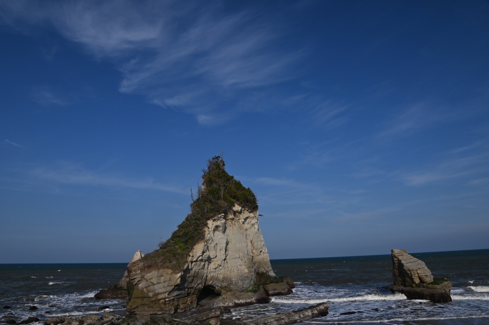 Zaurusu.y.加藤 tweet media