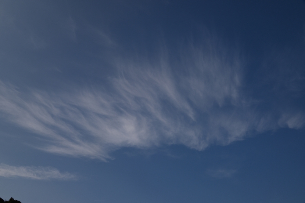 Zaurusu.y.加藤 tweet media