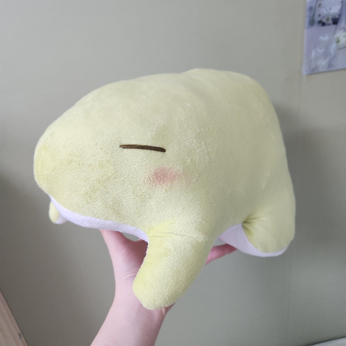 투명인형 tweet media