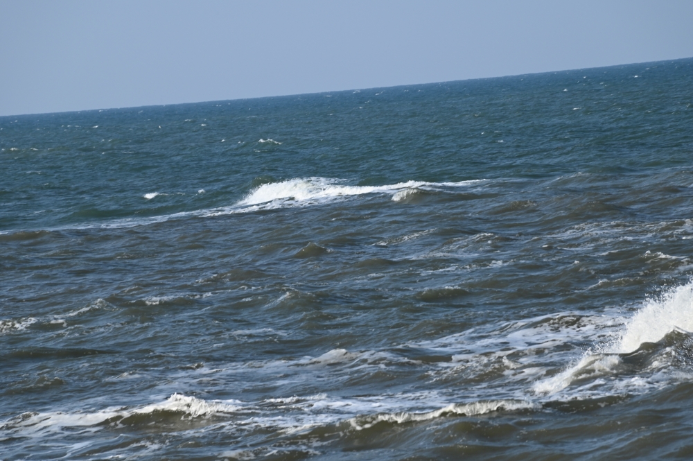 Zaurusu.y.加藤 tweet media