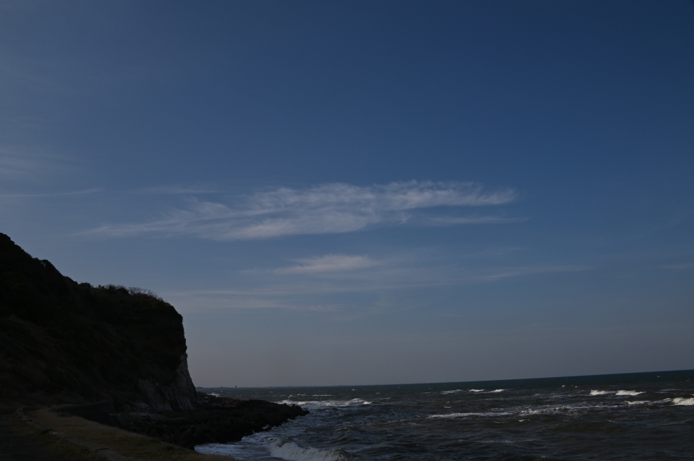 Zaurusu.y.加藤 tweet media