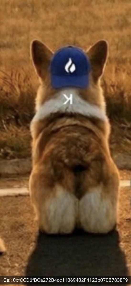 ZerkerTheGreek tweet media