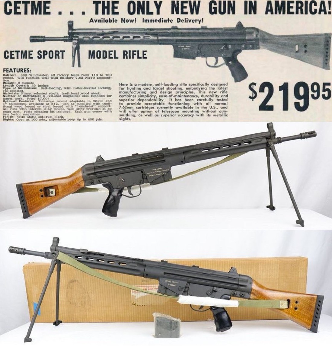 Deivid Carri tweet media