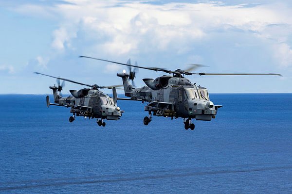 815 Naval Air Squadron tweet media