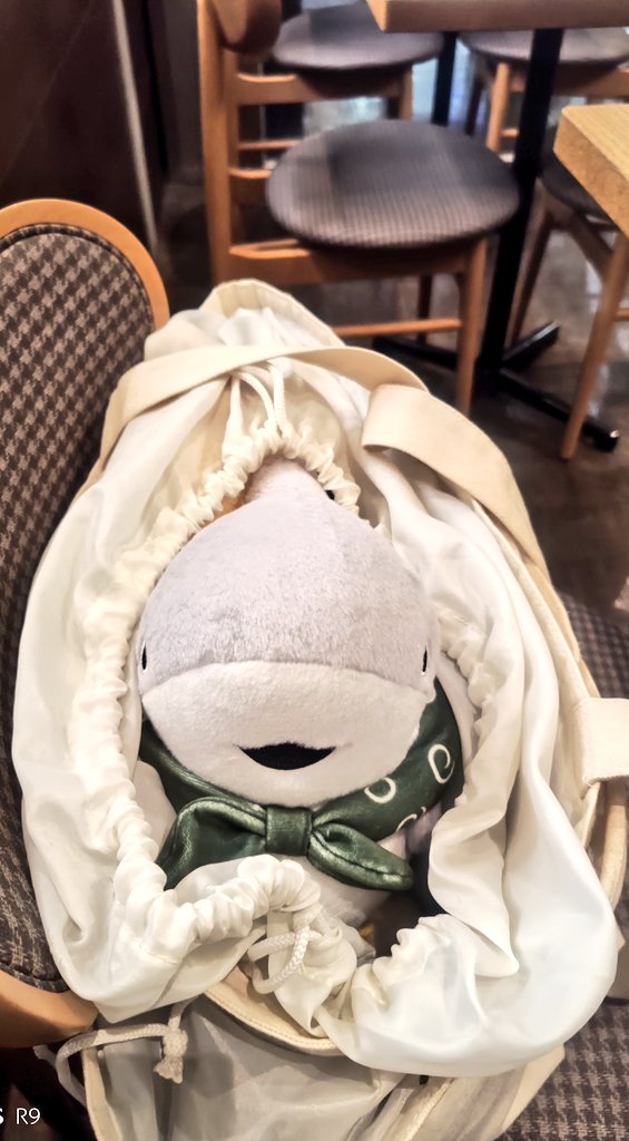 かわさきみどり tweet media