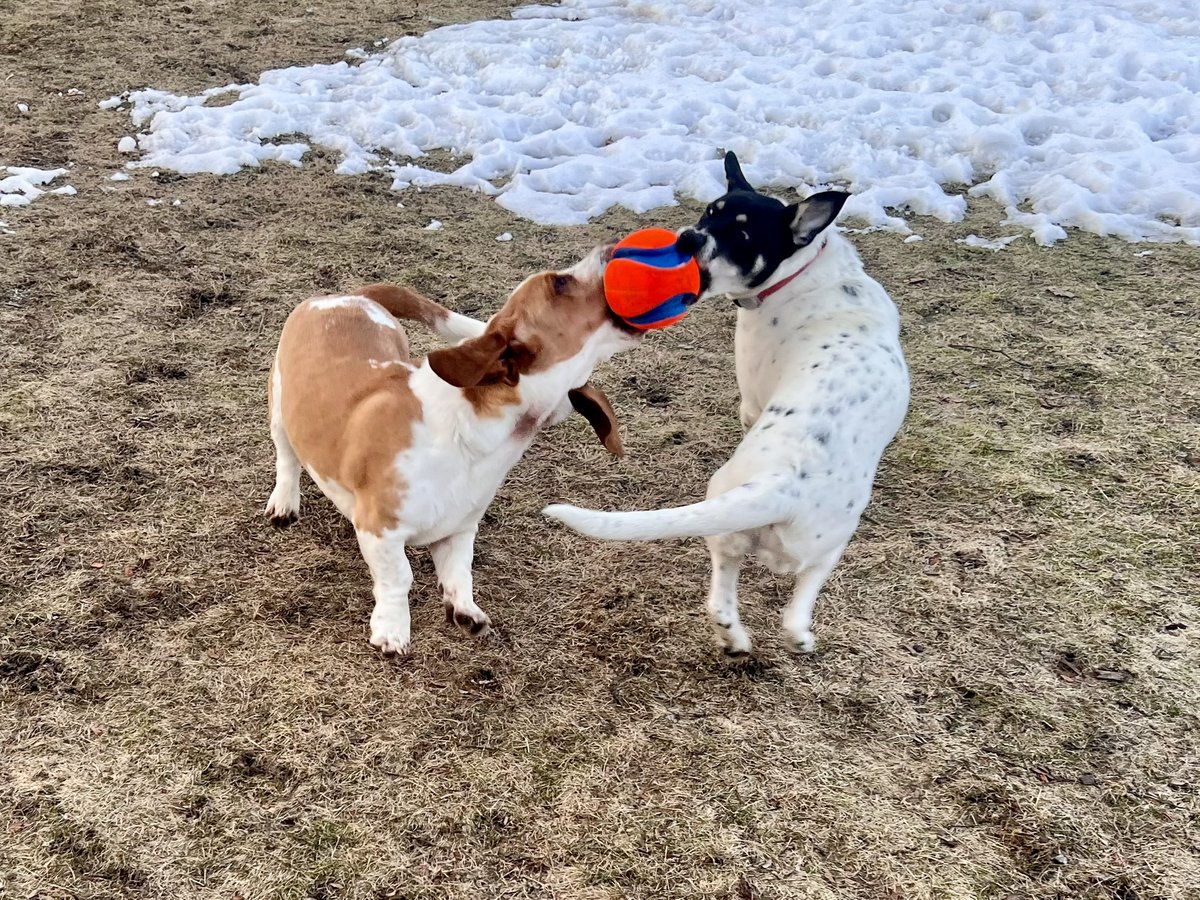 Sgt. Tater Ret. tweet media