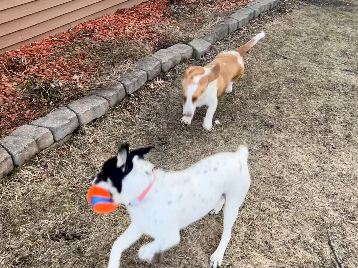 Sgt. Tater Ret. tweet media