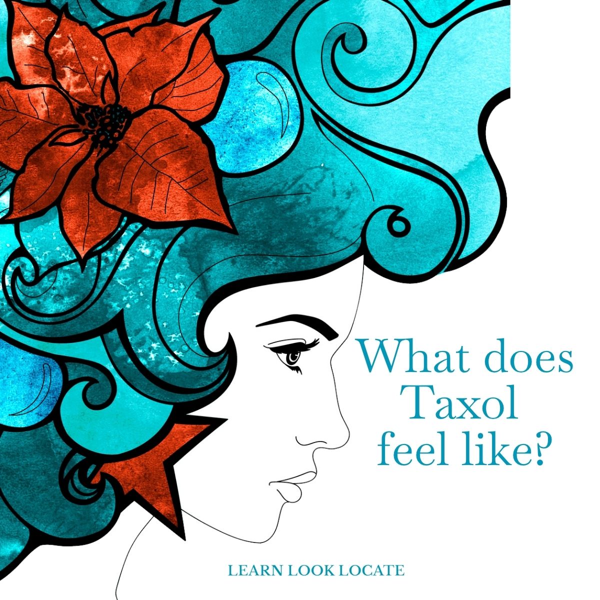 learnlooklocate tweet media