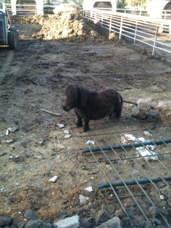 Beautiful Pics tweet media