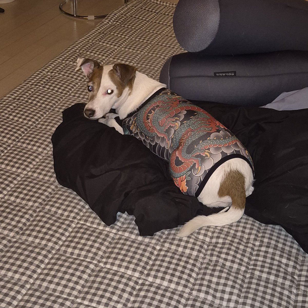 댕이 공주 tweet media