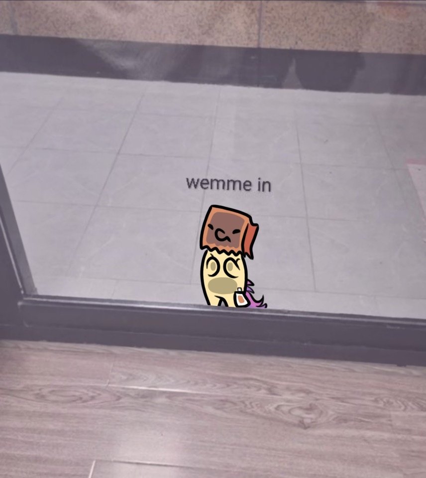 Paper Bag tweet media