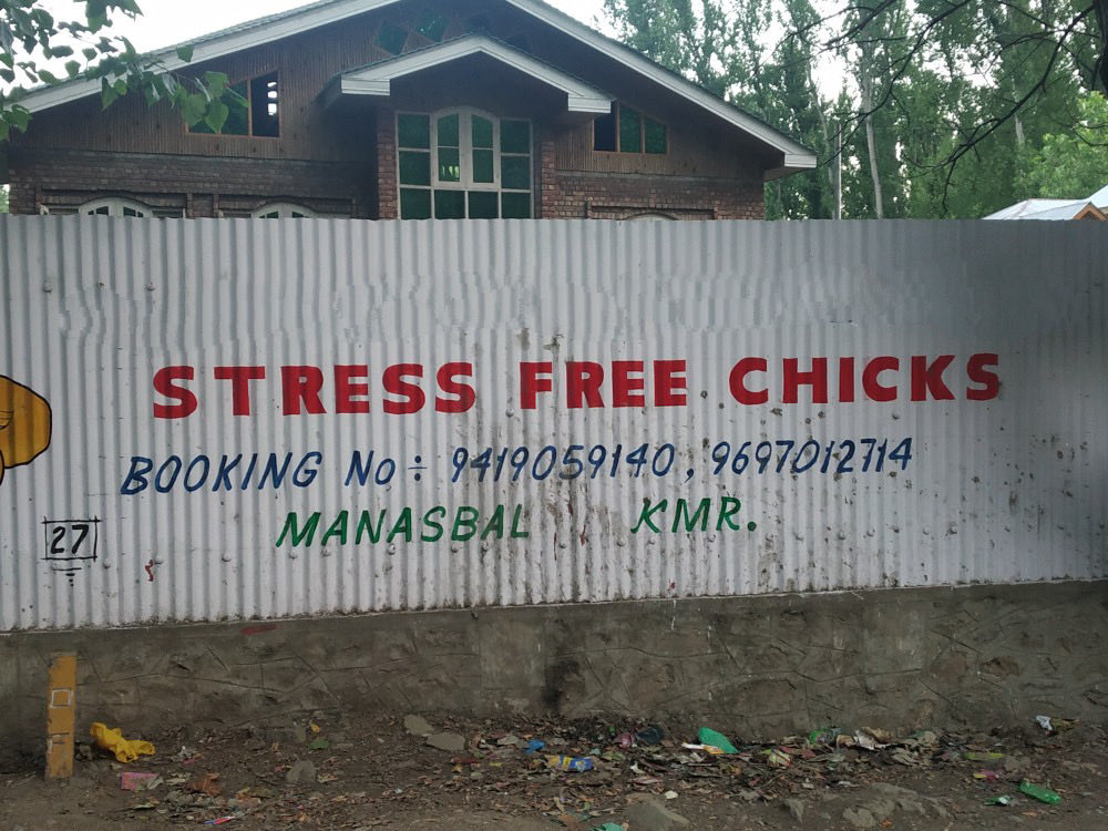 Kashmir Tweets tweet media