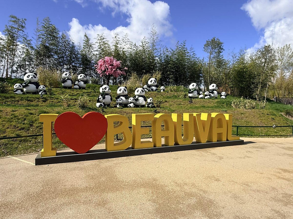 Me SangaKai 👠🥑🦁 tweet media