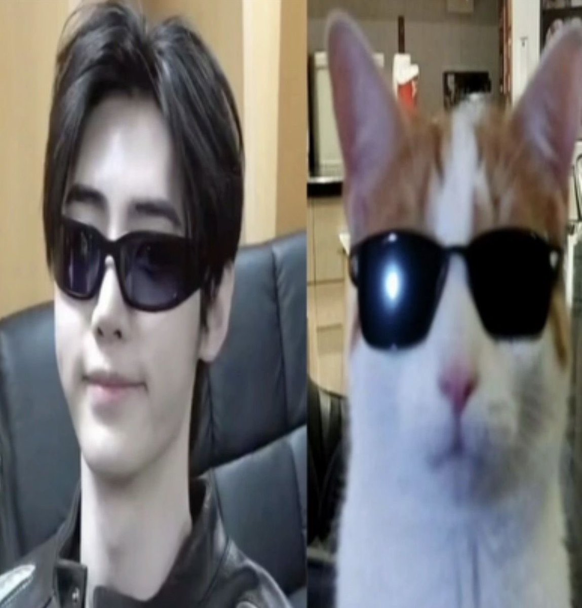 mimilla ✮⋆˙ 𝗘𝗡╸⁷ tweet media