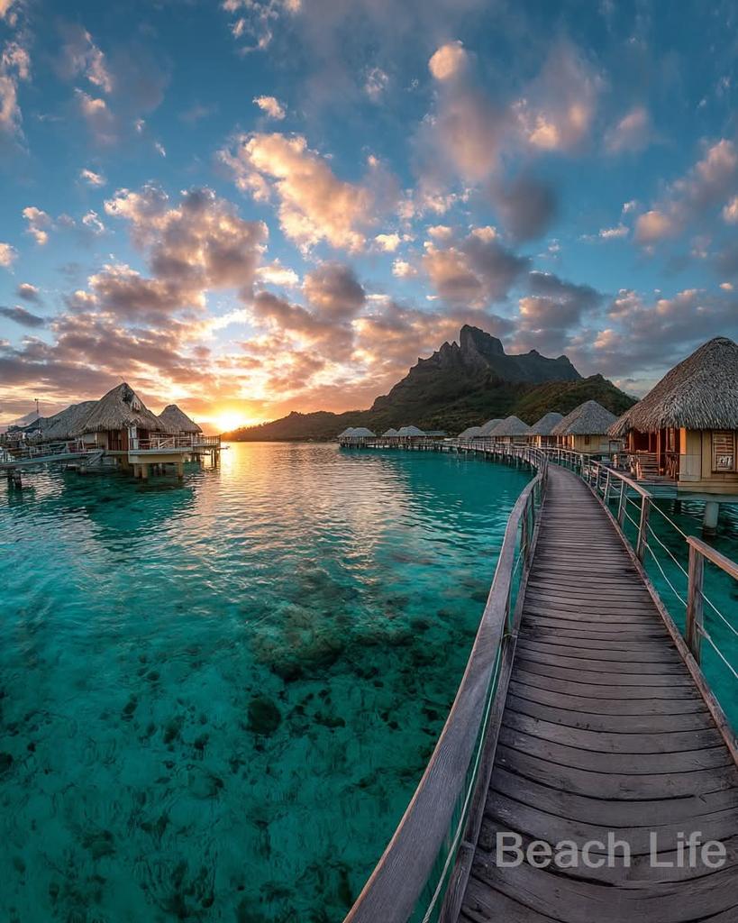 Marco Rodas™👑🇬🇹 tweet media