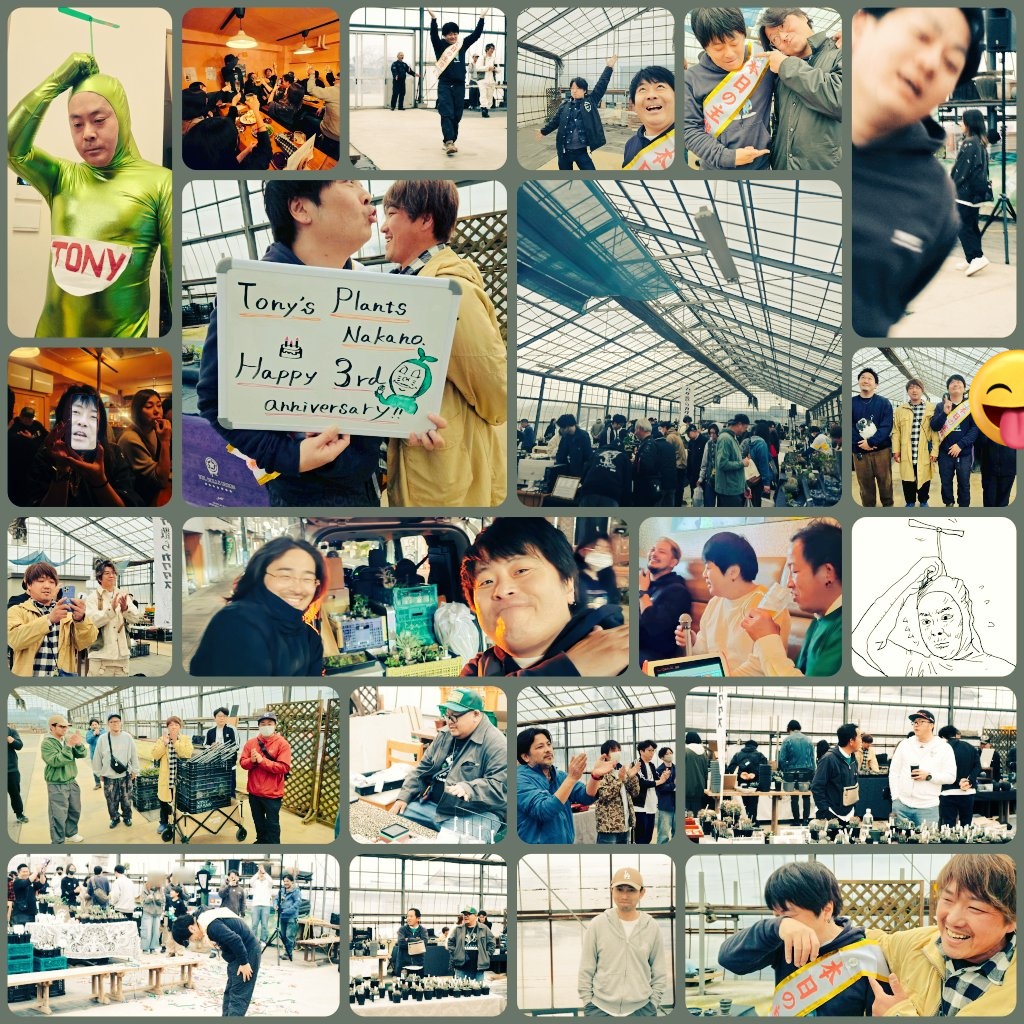 トニーver.カブトニー tweet media