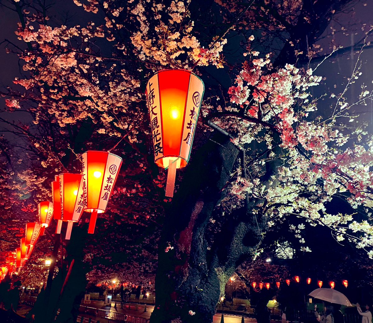 池之端根津子 tweet media