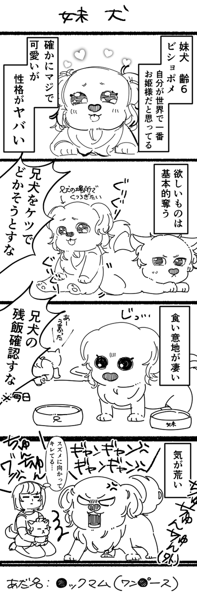 愛犬(妹)の生態

#エッセイ漫画
#漫画が読めるハッシュタグ
#毎日投稿 