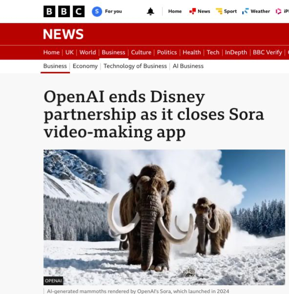 Ameneh Dehshiri شراره tweet media