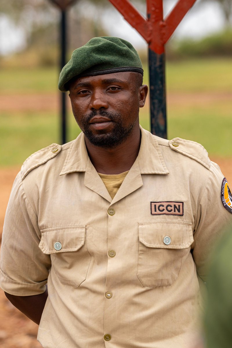 Virunga National Park tweet media