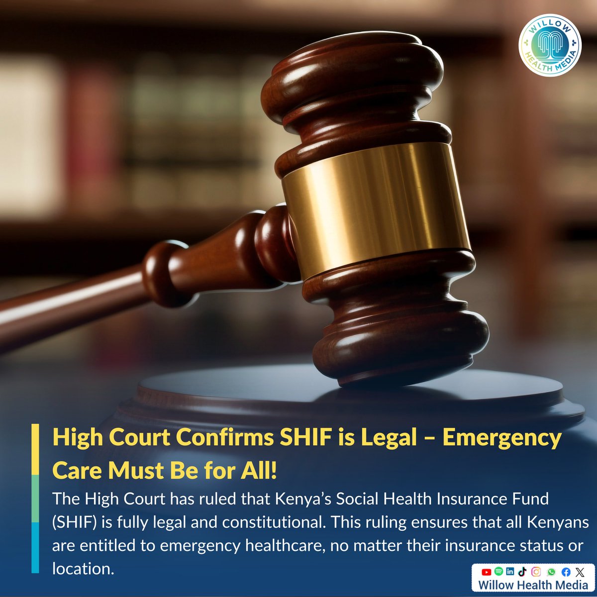 Willow Health Media tweet media