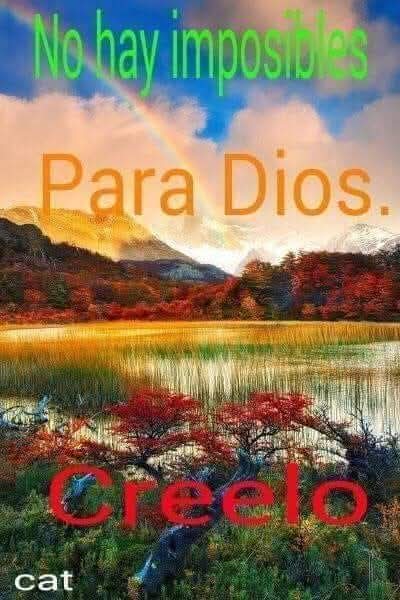 Carlos Arrioja Torres (@arriojatorres) on Twitter photo 