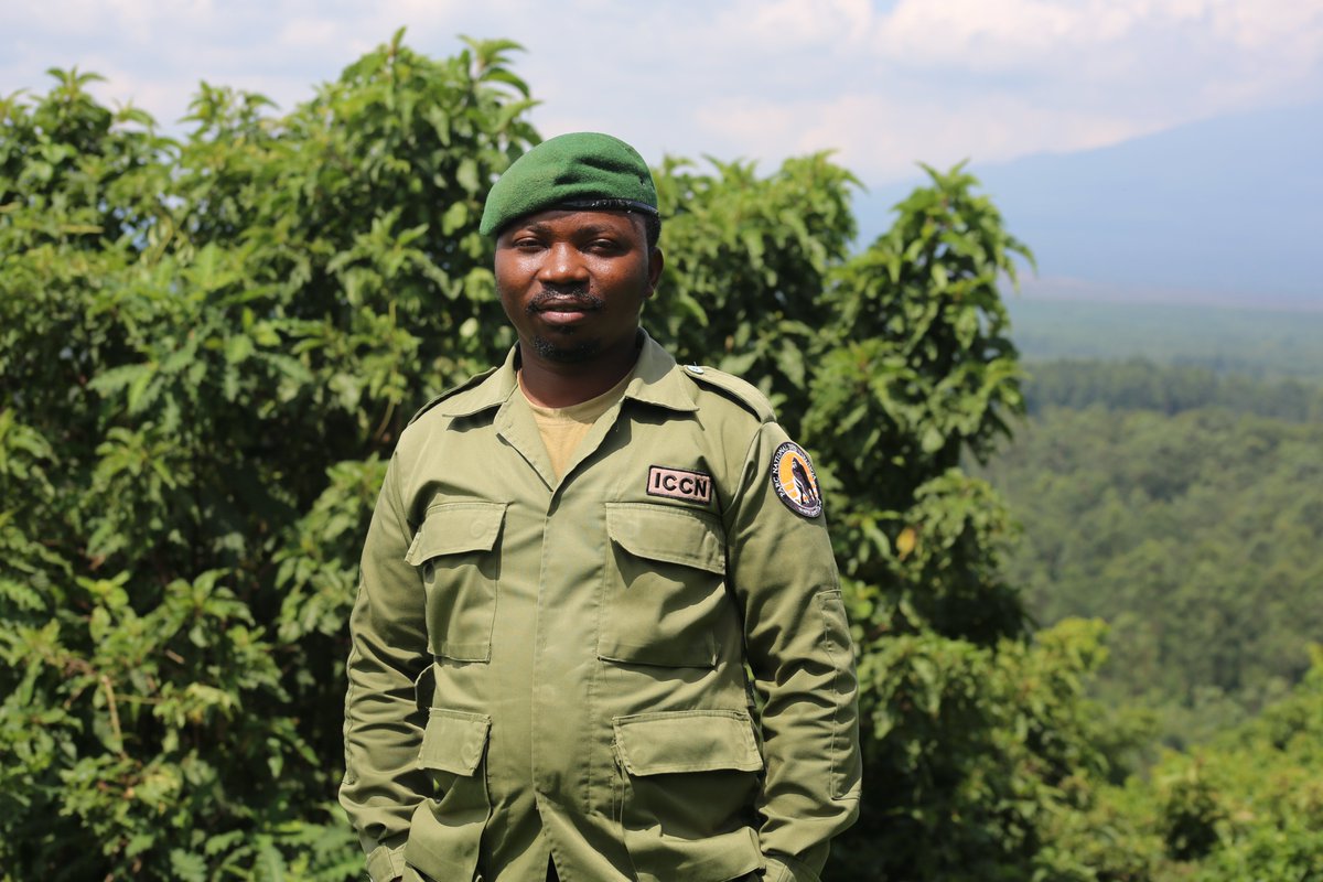 Virunga National Park tweet media