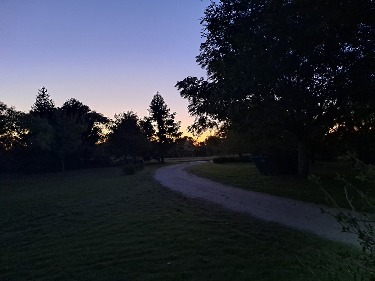 Alejandro Raffo tweet media